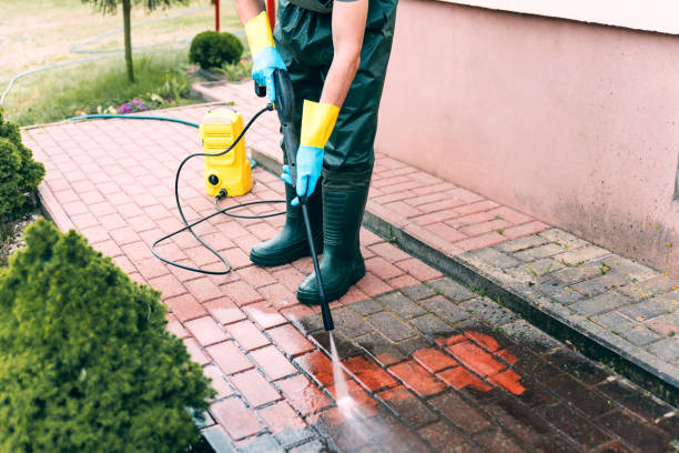 Best Roof Pressure Washing  in Dunlap, TN