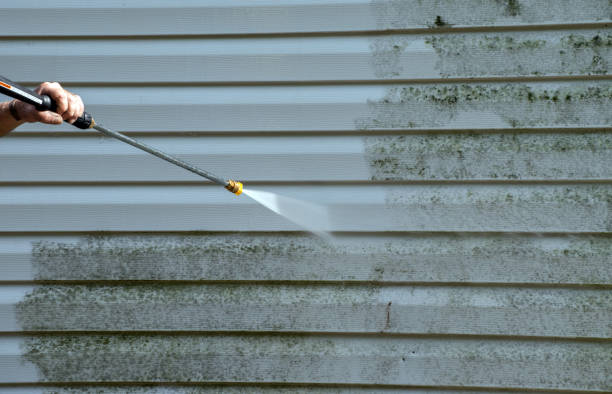 Best Roof Pressure Washing  in Dunlap, TN