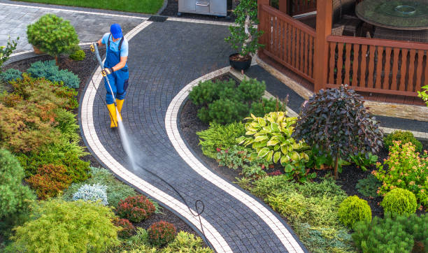 Best Pressure Washing Services for Businesses  in Dunlap, TN